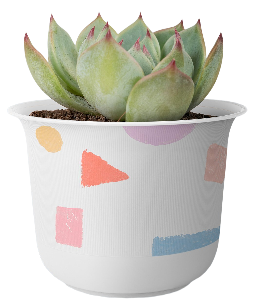 Pot with Graphics