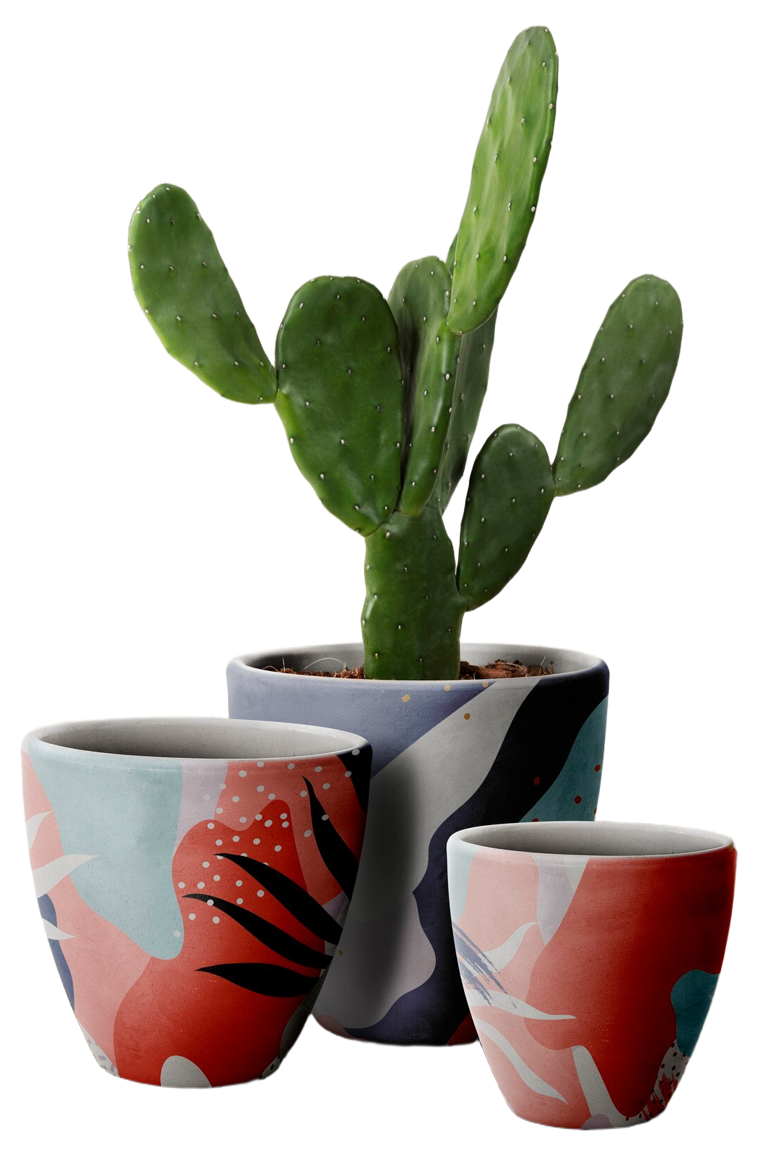 Colorful Pot Set