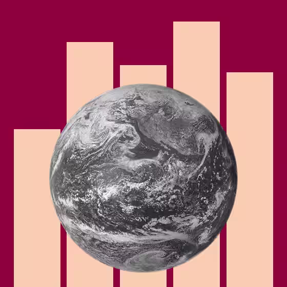 Newsletter icon